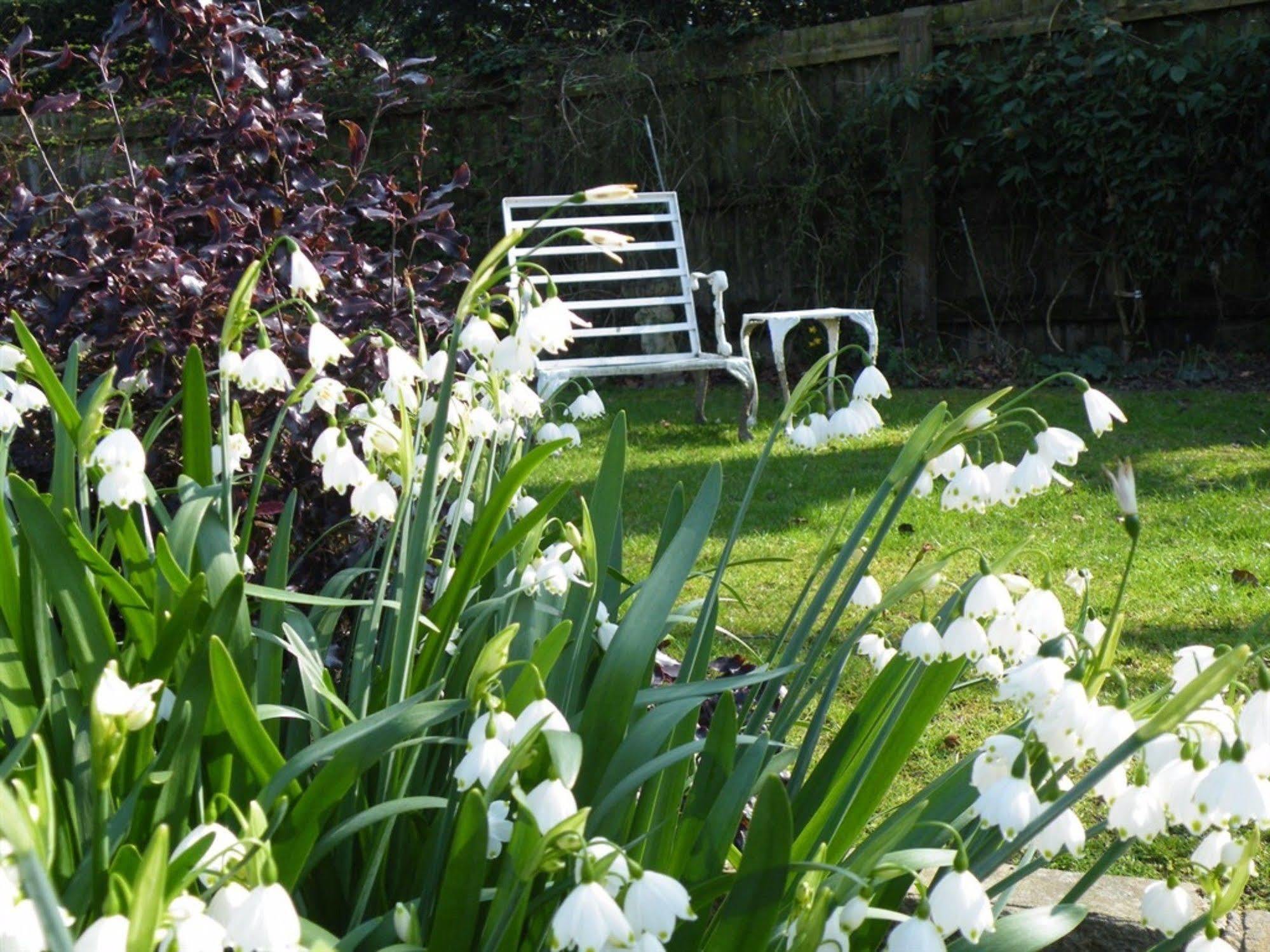 Broadlands Gate Bed & Breakfast Brockenhurst Exterior foto